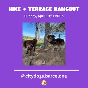 Cover Image for Hike + Terrace Hangout