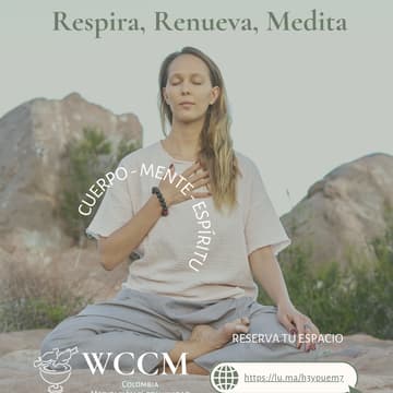 Cover Image for Respira, Renueva, Medita