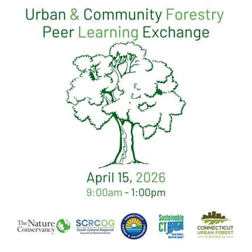 Cover Image for SCRCOG Region: Urban and Community Forestry Peer Learning Exchange
