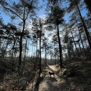 Cover Image for Walk & Talk Bergen (NH)