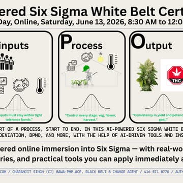 Cover Image for Statistical Analysis powered by  AI (Six Sigma White Belt)