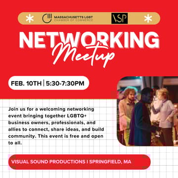Cover Image for Networking Meetup: Visual Sound Productions
