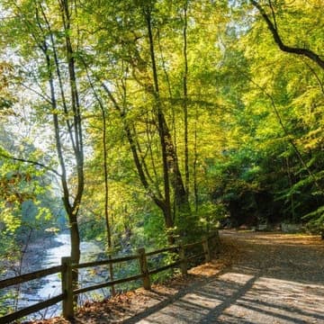Cover Image for Philly Good: Easy Wissahickon Hike