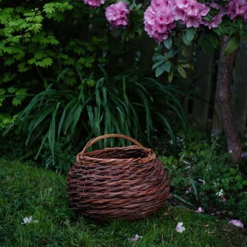 Cover Image for Large Twisted Willow Basket