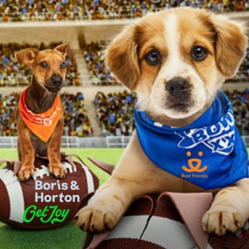 Cover Image for Puppy Bowl Watch with BFAS and Get Joy at Boris and Horton
