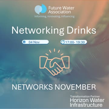 Cover Image for Networks November Networking Drinks