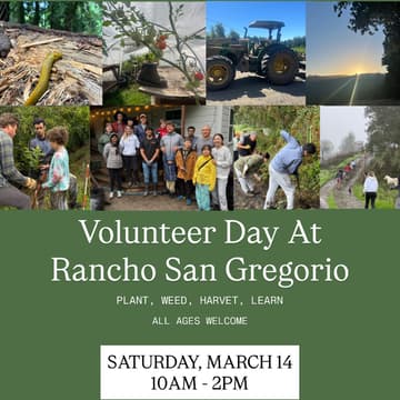 Cover Image for Volunteer Day At Rancho San Gregorio