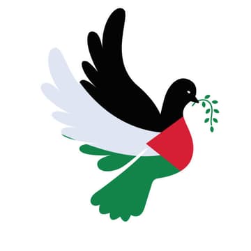 Cover Image for Palestine Land Exercise