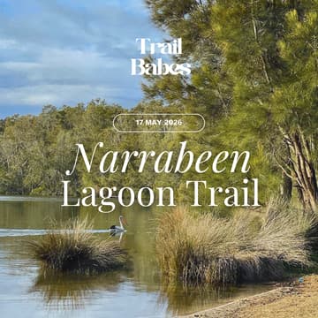 Cover Image for Narrabeen Lagoon Trail (AM Session)