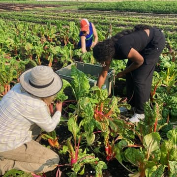Cover Image for Gleaning Food Rescue Event