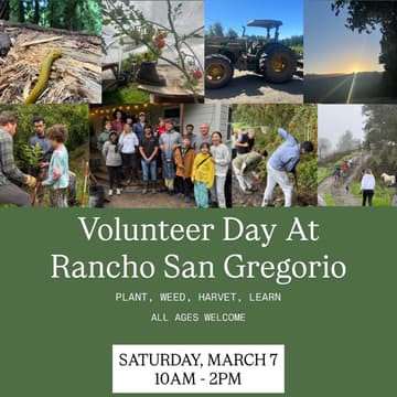 Cover Image for Volunteer Day At Ranch San Gregorio