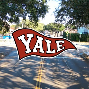 Cover Image for Community Protest to Make Yale Safer