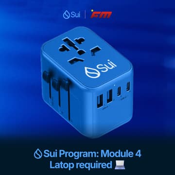 Cover Image for Sui Program: Module 4