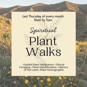 Cover Image for Spiritual Plant Walks