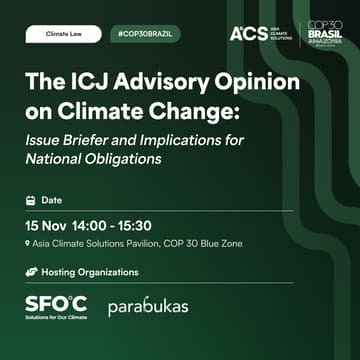 Cover Image for The ICJ Advisory Opinion on Climate Change: Issue Briefer and Implications for National Obligations