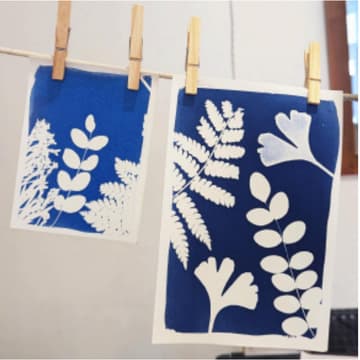 Cover Image for sun print workshop with lauren fiasconaro