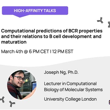 Cover Image for Computational predictions of B cell receptor properties and their relations to B cell development and maturation