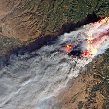 Cover Image for AI for Climate Adaptation and Disaster Response: Public Sector Pathways to Impact