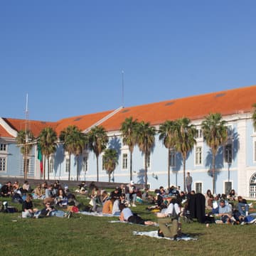 Cover Image for 1-Hour Reading Rave | FREE XL Stunt 📚 | Ribeira das Naus