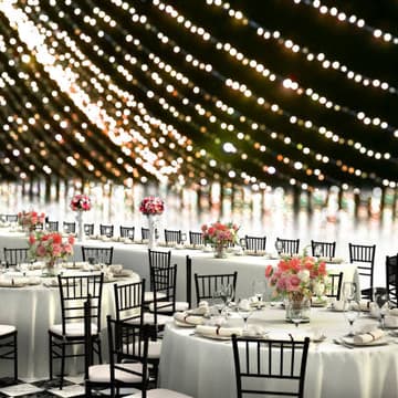 Cover Image for Le Dîner en Blanc
