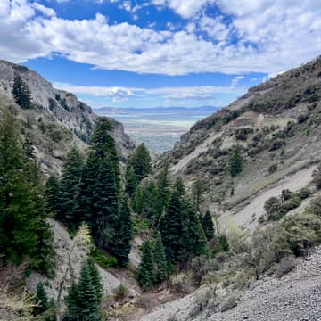 Cover Image for Networking in Nature Hike - Grove Creek Canyon