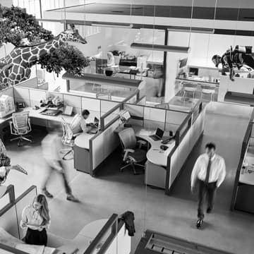 Cover Image for improbable RESEARCH : launch event