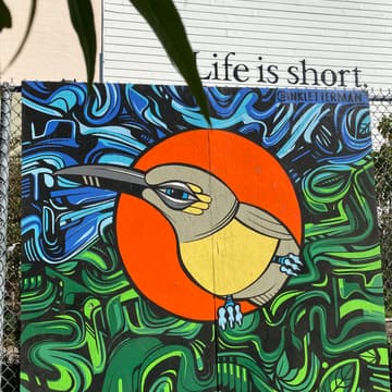 Cover Image for Art & Organizing