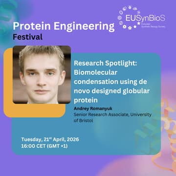 Cover Image for Research Spotlight: Biomolecular condensation using de novo designed globular protein