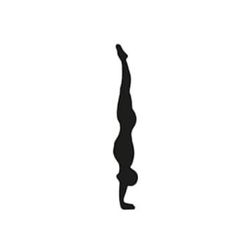 Cover Image for Animal Flow (Primal Workout)