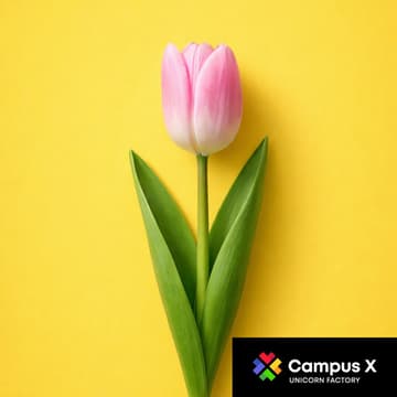 Cover Image for A Small Celebration for the Women of Campus X