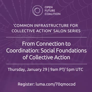 Cover Image for From Connection to Coordination: Social Foundations of Collective Action