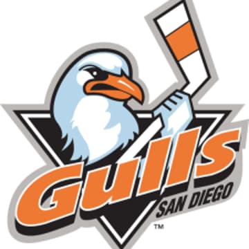 Cover Image for SD ISSA - Gulls Hockey Outing (Members Only Event)