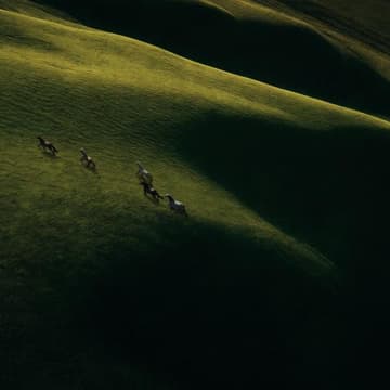 Cover Image for BAG Ventures Informational Session