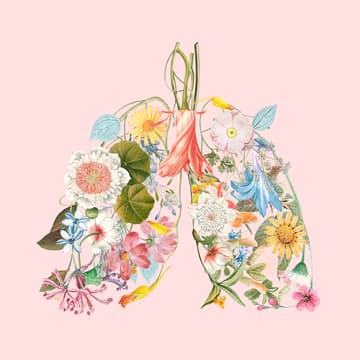 Cover Image for Climate Change & Health Equity Mini Advocacy Lab