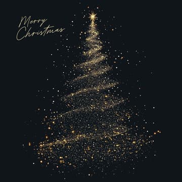Cover Image for Christmas Party
