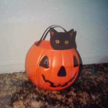Cover Image for Halloween Shop + Craft!