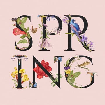 Cover Image for Village Spring Fest 2026
