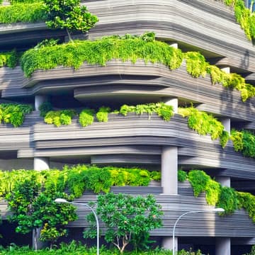 Cover Image for NBS-PRI-ECGI Public Lecture Series on Sustainable Business: A Financial Handbook for Sustainability
