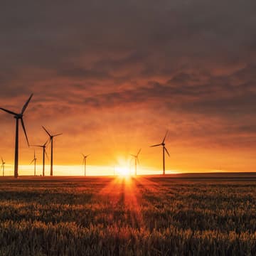 Cover Image for Who Pays for ESG? The Compliance Gap Between Global Standards and Global South Realities