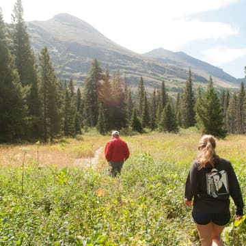 Cover Image for YQG - Startups & AI Walks - July Edition