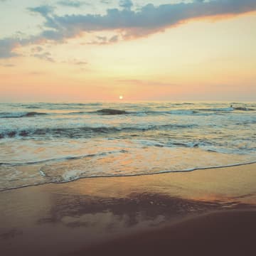 Cover Image for Low Tide Low Tech