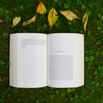 Cover Image for 📖Offline Women Read in Nature