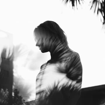 Cover Image for Walking with Shadows