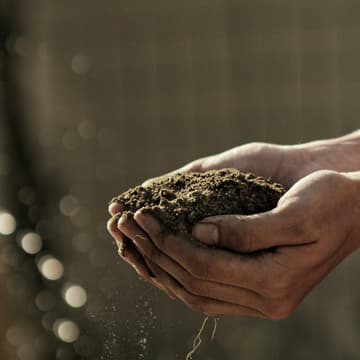 Cover Image for The Fold Compost Party