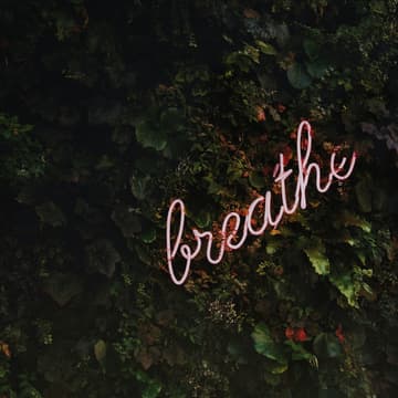Cover Image for Space to Breathe 1/4