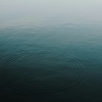 Cover Image for Venice Wellness