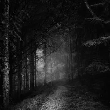 Cover Image for District Haunts