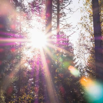 Cover Image for Near Death Experience: