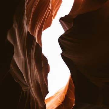 Cover Image for WMC Pro Guide Practice
