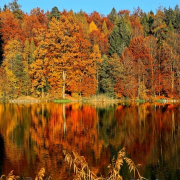 Cover Image for October SCGIS Meet Up